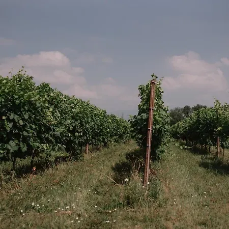 Camera Glera, Al Vecchio Convento - Tenuta Malvolti Agroturismo *