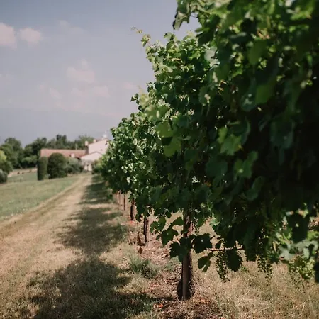 Camera Glera, Al Vecchio Convento - Tenuta Malvolti * San Fior di Sopra