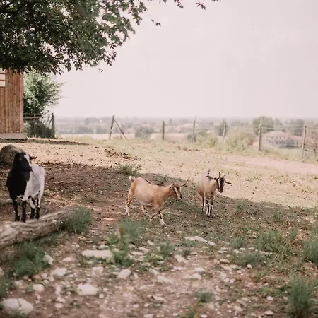 Agroturismo Camera Glera, Al Vecchio Convento - Tenuta Malvolti *